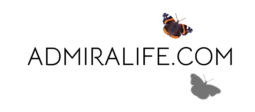 Admiralife Butterfly